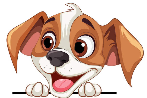 Pet Haven